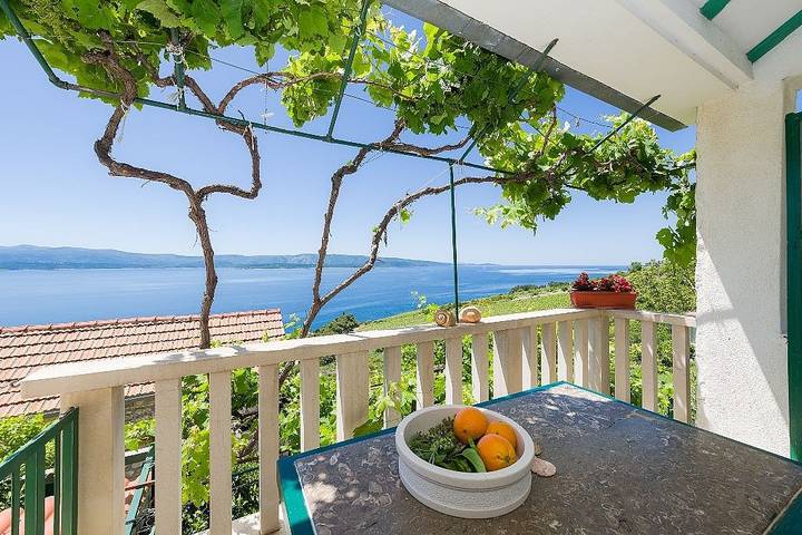 Holiday apartment for 3 people, with terrace, with pets - 1