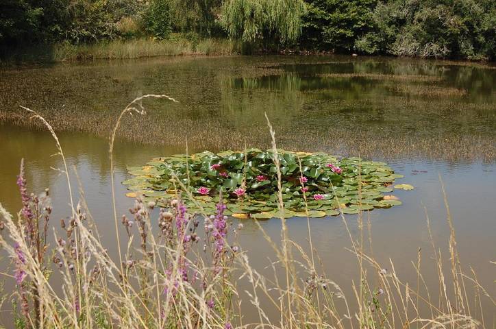 Location de vacances pour 2 personnes, avec vue et jardin à Champagne-Mouton - 3