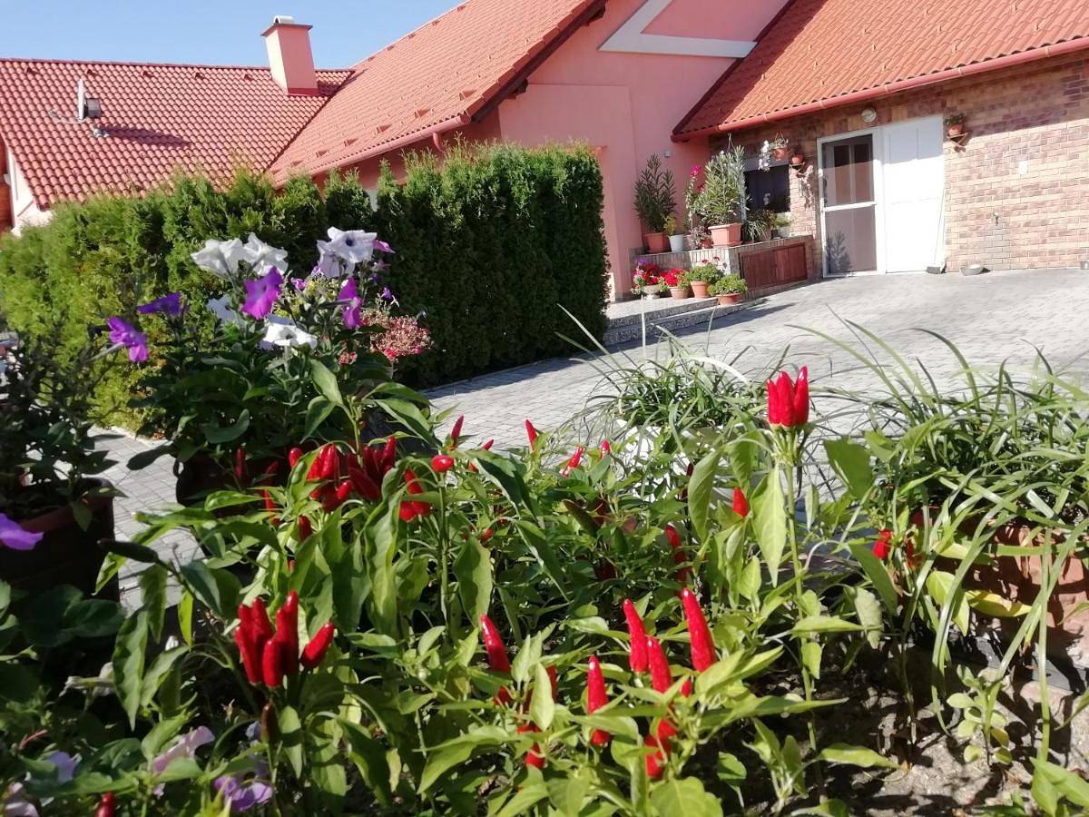Villa with Private Pool in Balatongyörök, Balaton Hochland Nationalpark