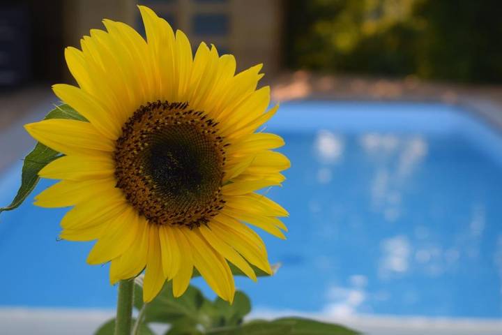 Location de vacances pour 4 personnes, avec jardin et sauna ainsi que vue et piscine à Bouillon - 3