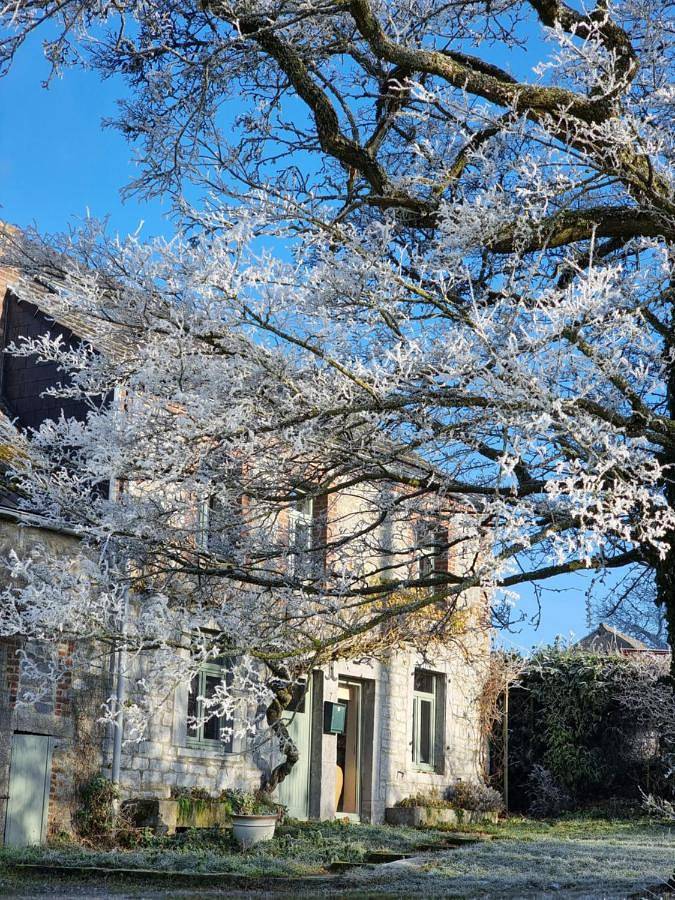 Location de vacances pour 10 personnes, avec jardin et vue, animaux acceptés dans Blaimont - 3