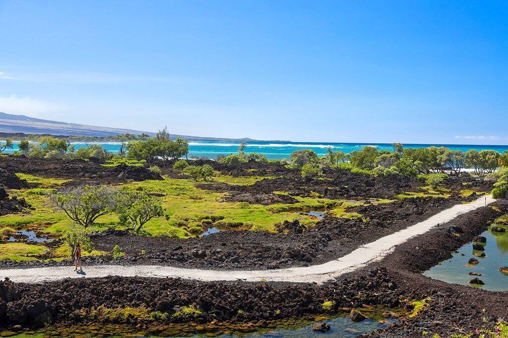 Ultimate Ocean View Villa • Pool • Pickleball • Game Room • Gym • Club Access in Waikoloa Beach Resort, Puako