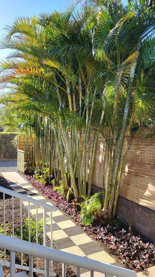 Location de vacances pour 6 personnes, avec jardin à Petite-Île - 4