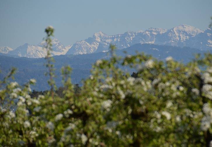 Ganze Ferienwohnung, Ferienwohnungen Stiefel - Fewo Stiefel Säntis 60 qm 1 Schlafzimmer max. 3 Personen in Wasserburg (Bodensee), Bayerisch Schwaben