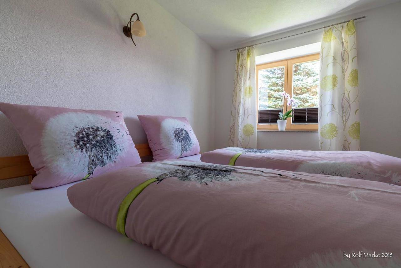 Ganze Wohnung, Apartment Gehrenspitze in Wängle, Außerfern