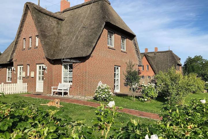 Ferienhaus für 3 Personen, mit Terrasse und Garten, mit Haustier - 1