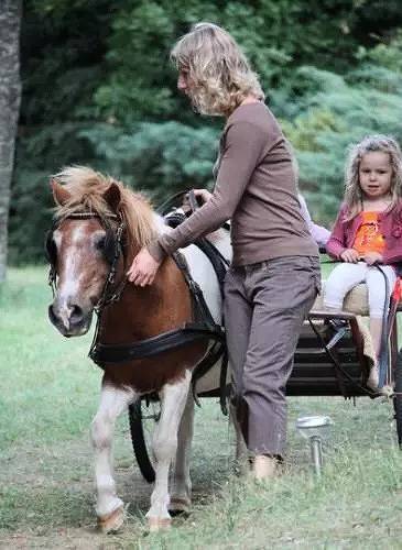 Mobil home panoramique Dordogne 3 pièces 6 personnes in Soturac, Lot