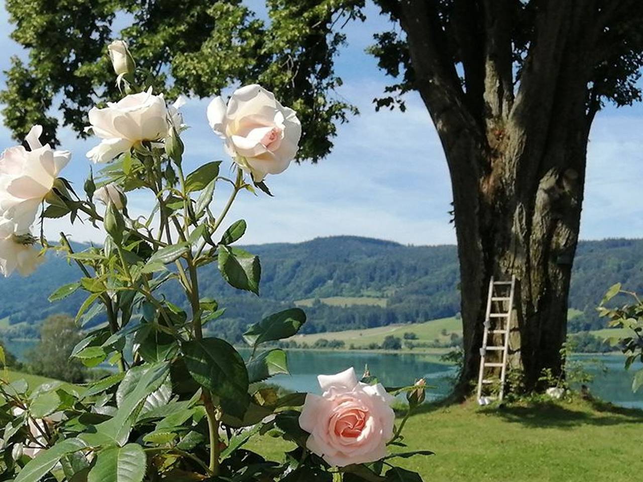 Ganze Ferienwohnung, Roiderhof am Irrsee in Oberhofen am Irrsee, Irrsee