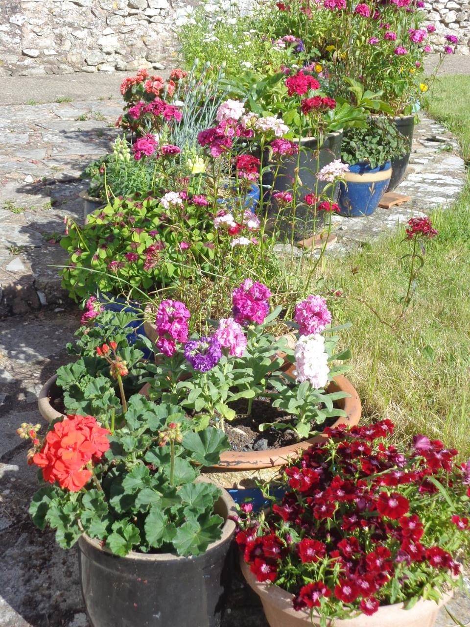 Lodge House B&B in Buckland St Mary, Somerset