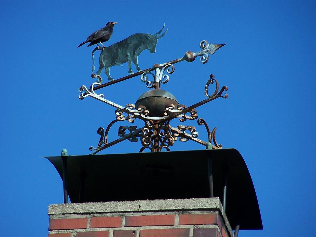 Ganze Ferienwohnung, Friesenhaus Westerhever in Westerhever, Eiderstedt