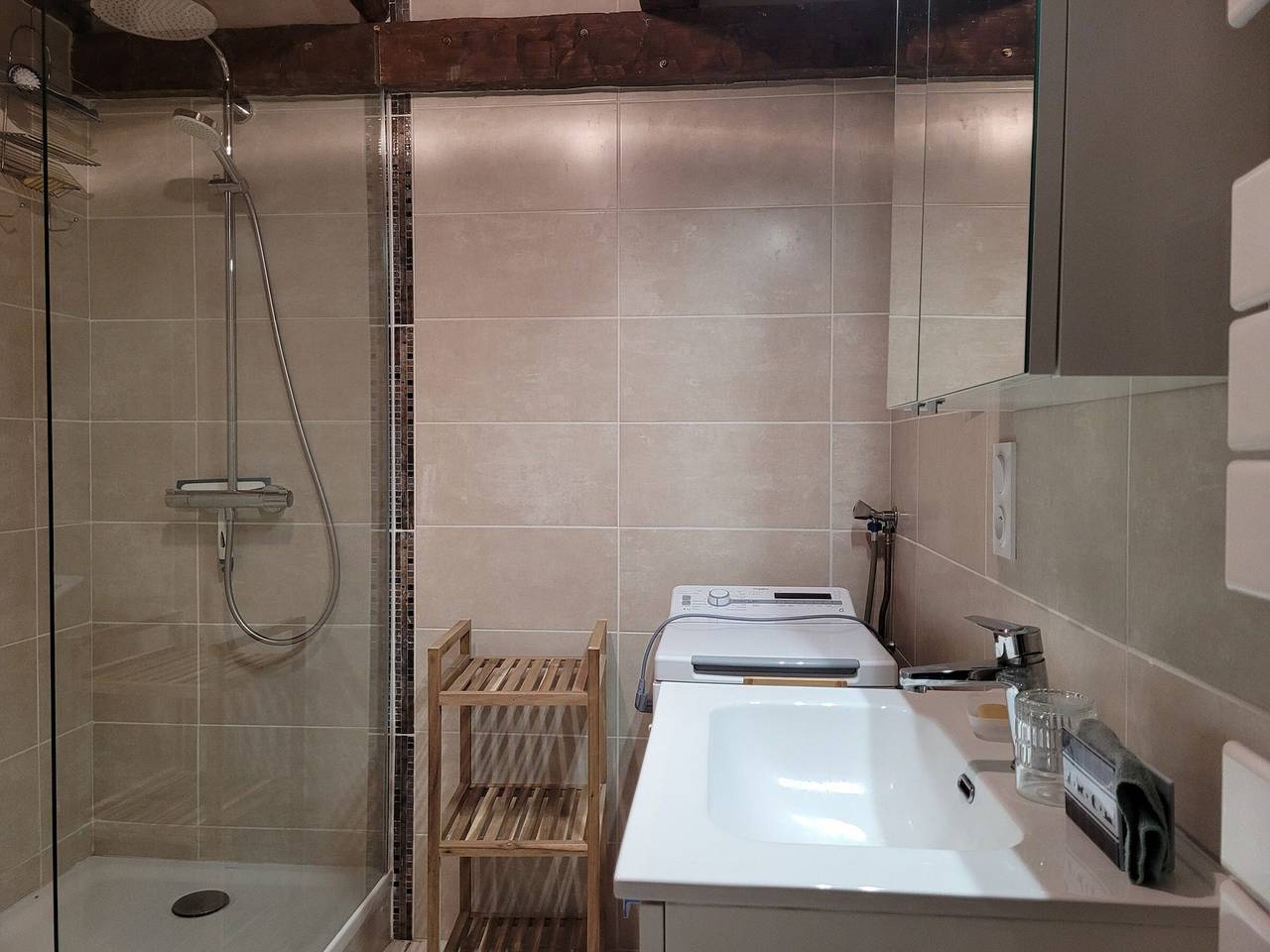 Apartamento entero, Dúplex de 2 piezas, terraza, 8 pers., chimenea, Pra-Loup 1500 in Pra-Loup, Uvernet-Fours