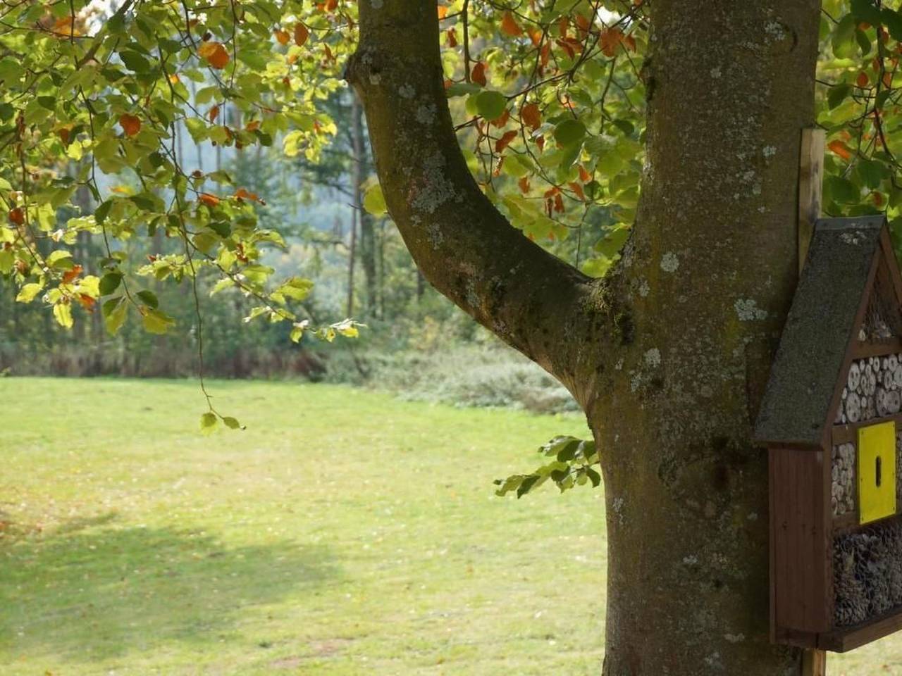 Harmonie in Kirchheim, Massif du Knüll