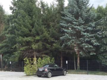 Ferienwohnung für 5 Personen in Sangerhausen, Harzvorland, Bild 2