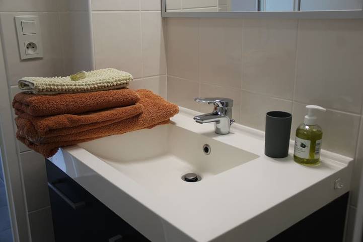 Gîte pour 2 personnes, avec terrasse à Le Bourget-du-Lac - 4