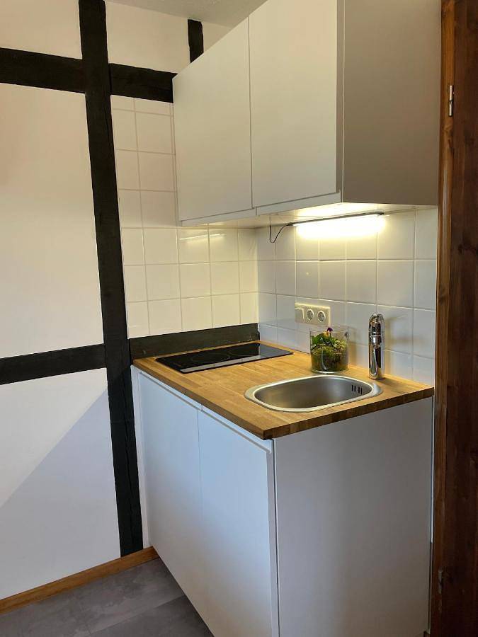 Hotel für 3 Personen, mit Terrasse und Garten sowie Ausblick und Seeblick in Stechlin - 4