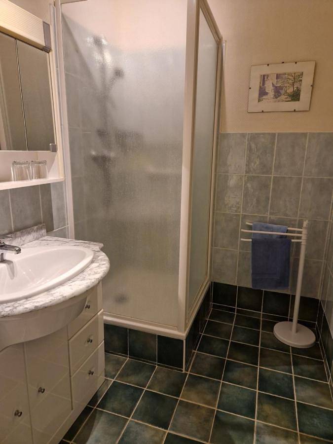 Chambre d’hôte pour 2 personnes, avec terrasse ainsi que jardin et vue à Civray-de-Touraine - 2