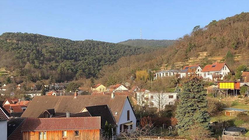 Ferienwohnung für 4 Personen, mit Balkon in Neustadt an der Weinstraße - 3