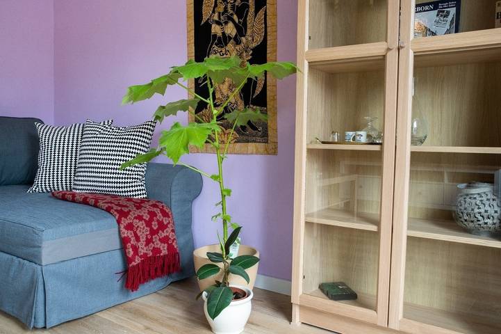 Gîte pour 4 personnes, avec balcon à Detmold - 3