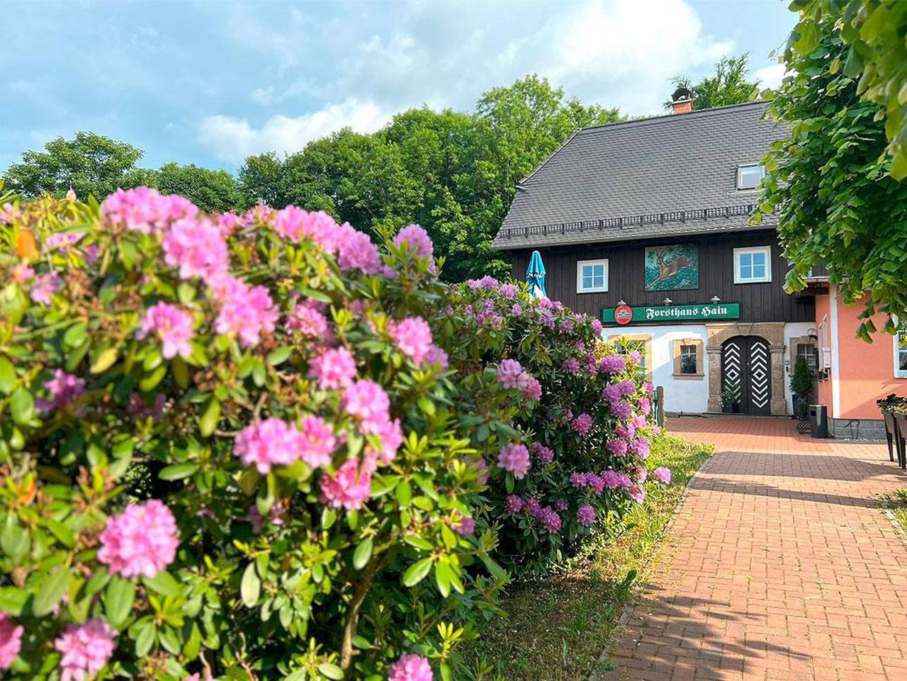 Pension Forsthaus Hain - Doppelzimmer Kat. A in Oybin, Zittauer Gebirge
