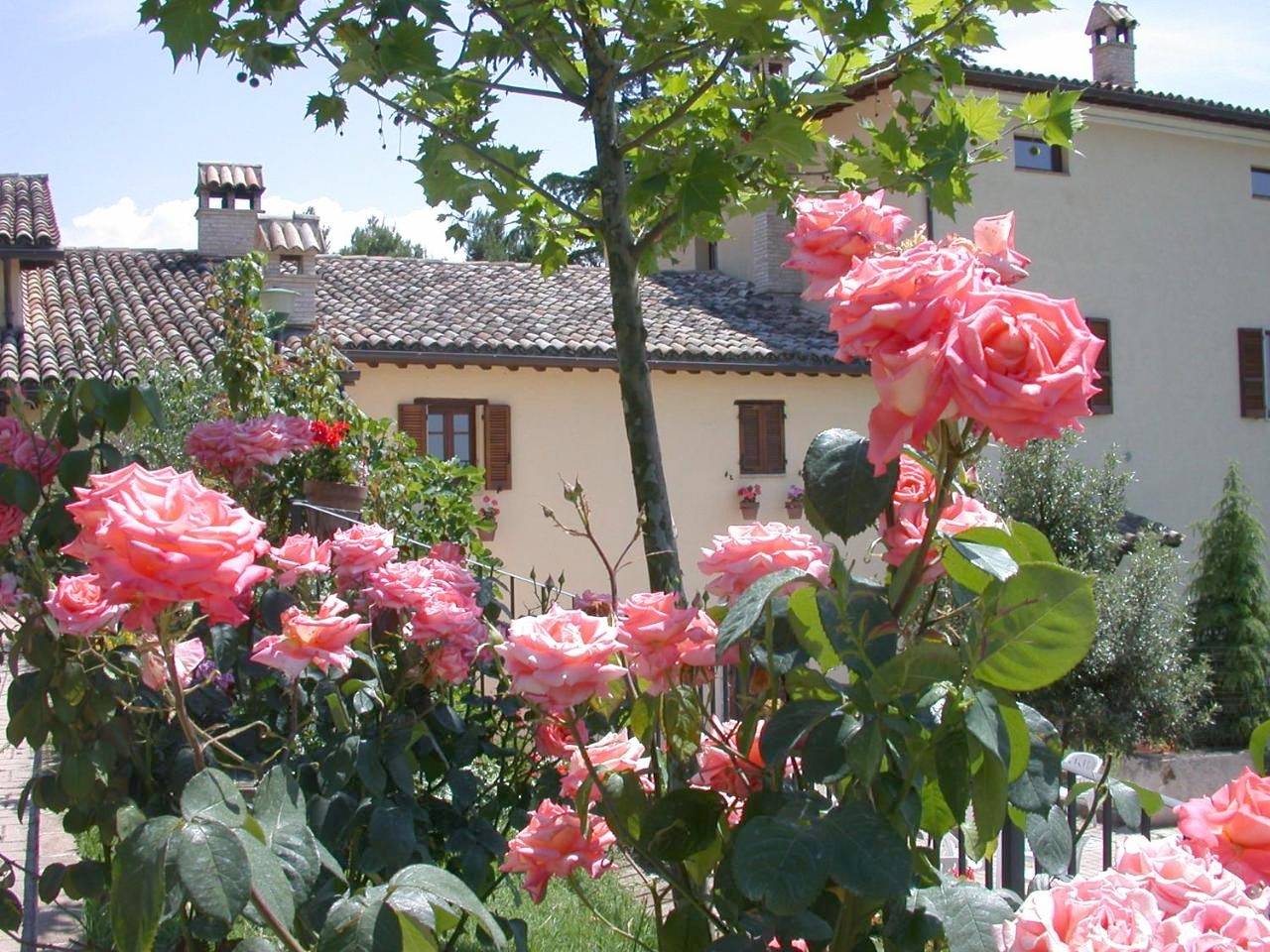 Double Room in Assisi, Perugia e dintorni