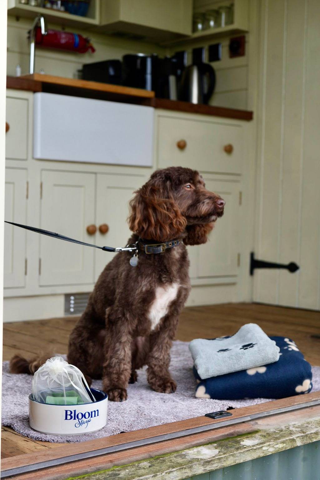 The Romney in Bonnington, Región de Ashford