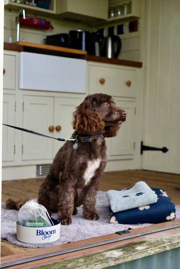 Hut voor 4 Personen in Bonnington, Kent Downs, Afbeelding 4