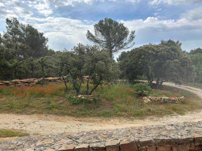 Gîte pour 2 personnes, avec jardin ainsi que terrasse et vue, animaux acceptés à Saint-Hippolyte-le-Graveyron - 3
