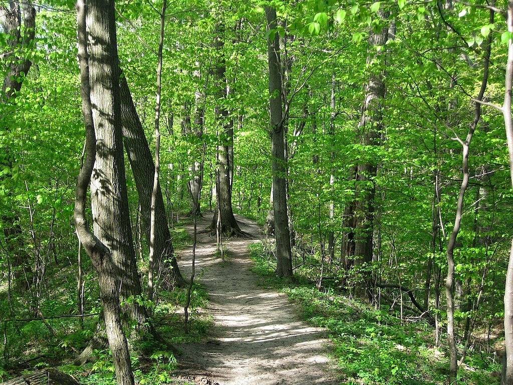 Ganze Wohnung, Macatawa Waterfront bei 'Big Red' / Cottage Living für 2 Personen in Macatawa, Michigansee