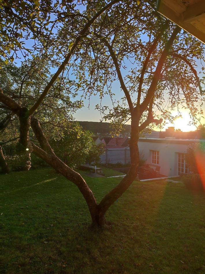 Ferienhaus für 4 Personen, mit Terrasse und Garten in Saale-Unstrut - 4