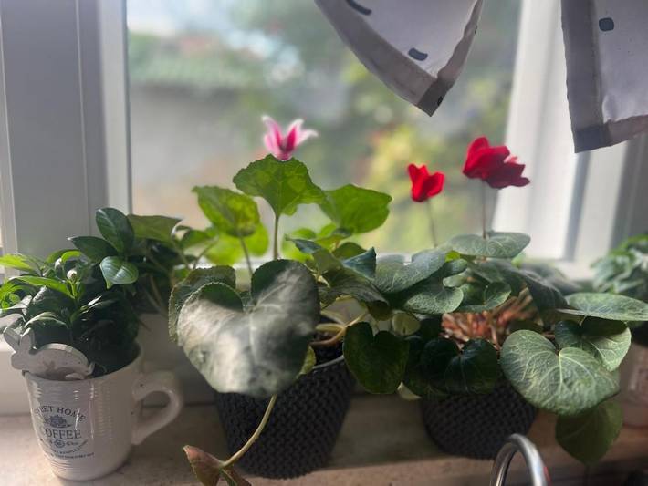 Villa pour 8 personnes, avec vue et jardin à Split - 2