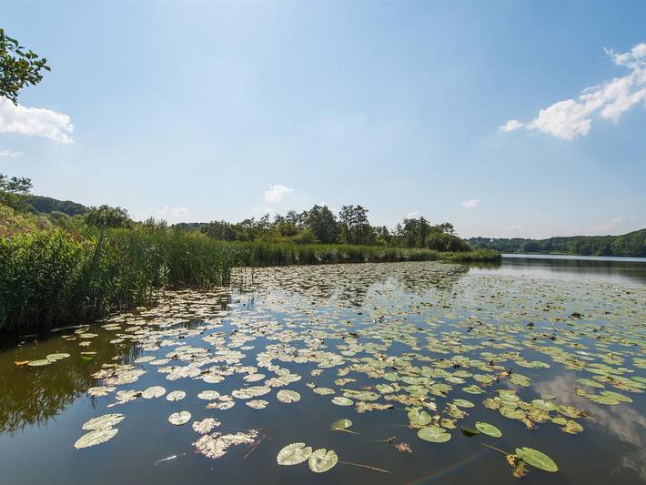 Ferienwohnung für 6 Personen, mit Garten, mit Haustier in Harrislee - 2