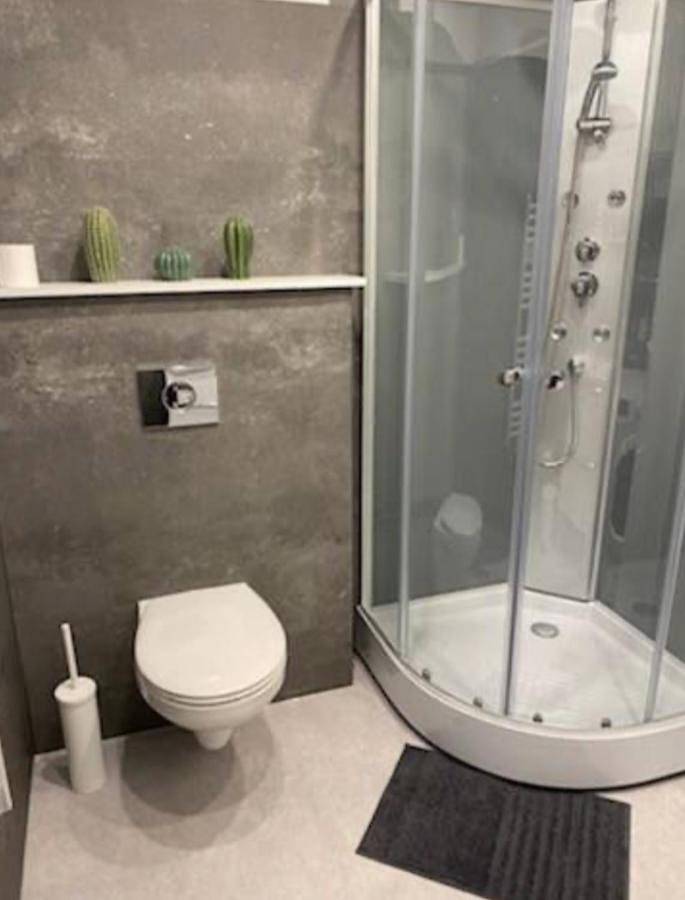 Gîte pour 2 personnes, animaux acceptés dans Thermes de Vittel - 3