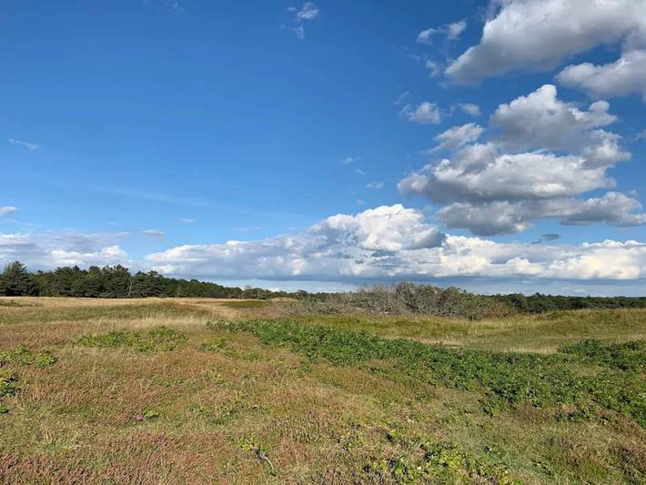 Ferienhaus für 5 Personen, mit Terrasse und Garten sowie Pool an der Kattegat Küste - 4