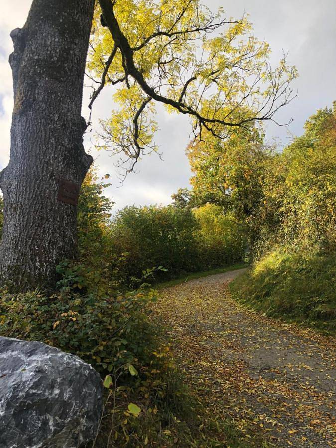 Location de vacances pour 4 personnes, avec jardin et vue dans Mormont - 4
