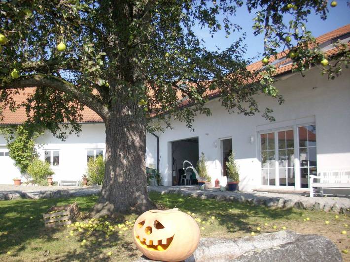 Ferienwohnung für 4 Personen, mit Balkon/Terrasse und Seeblick in Bodolz - 4