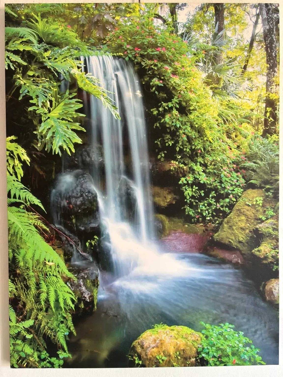 Ganzes Studio, Gemütliches Studio in Fort-de-France, 25 m² mit eigenem Balkon in Martinique