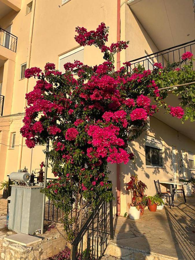 Maison d’hôte pour 4 personnes, avec jardin ainsi que vue et balcon dans Dhërmi - 4