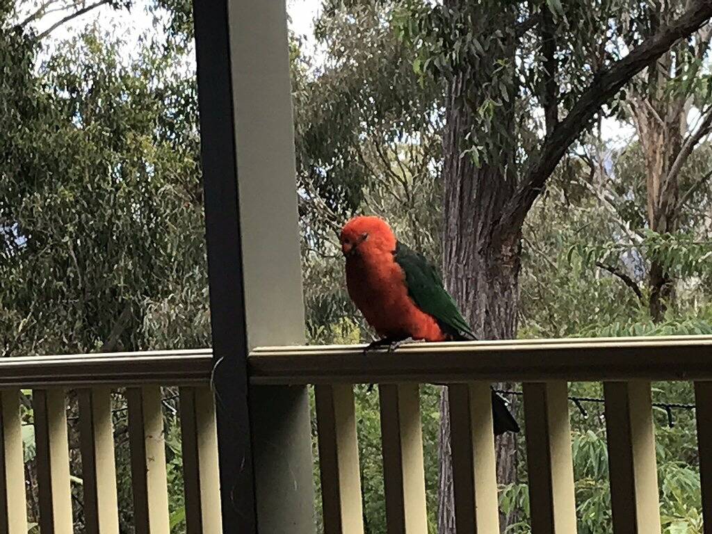 Little Hartley Hideaway in New South Wales
