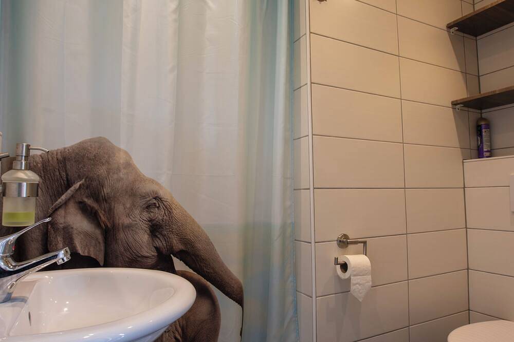 Jamies Cottage Warmenhuizen in Schoorldam, Noord-Holland - Nordseeküste
