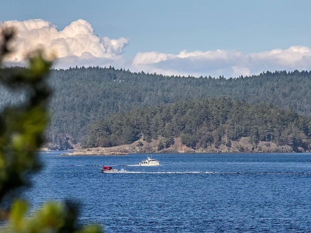 Waterfront! Hot Tub! (Ewr) in San Juan Island