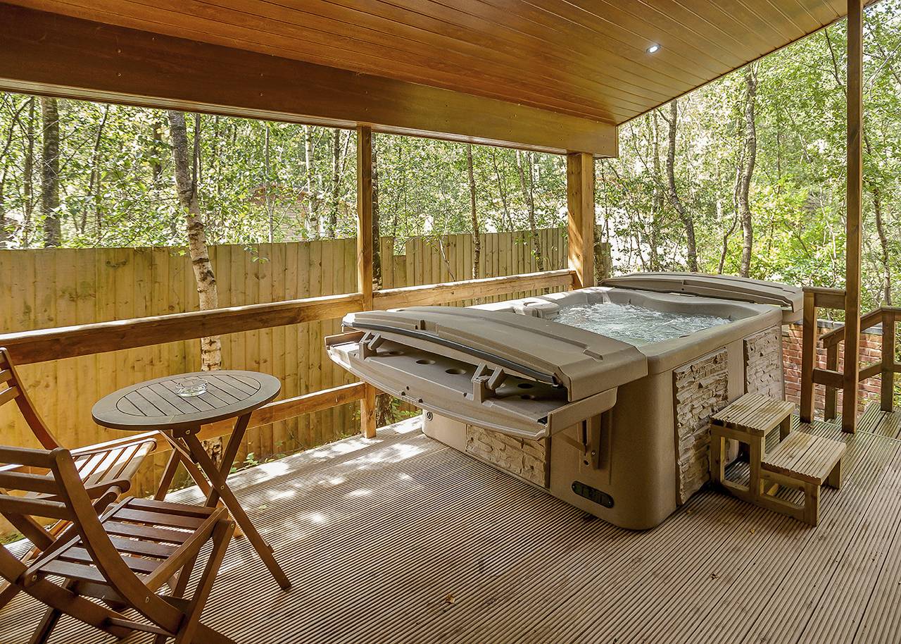 Fox Cub in Alton Towers, Staffordshire