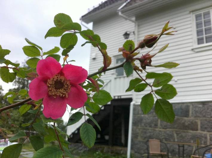 BnB für 3 Personen, mit Garten und Ausblick in Norwegen