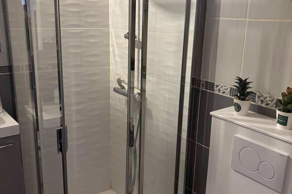 Appartement entier, Beautiful studio renovated 30 m2 with fireplace in Gréolières les Neiges, Gréolières