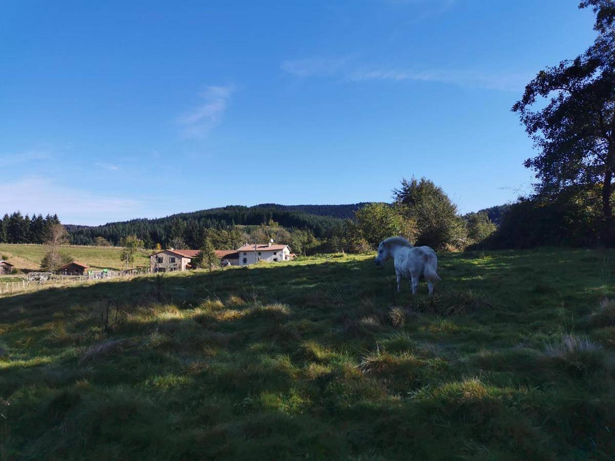 Chambre d’hôte pour 4 personnes avec jardin in Viscomtat, Région de Thiers