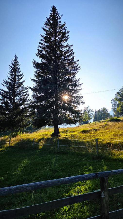 Ferienhaus für 5 Personen, mit Ausblick und Terrasse in Slowenien - 4
