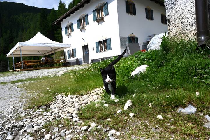 Habitación 'Singola' con vistas a la montaña y wifi in San Pietro di Cadore, Karnischer Hauptkamm