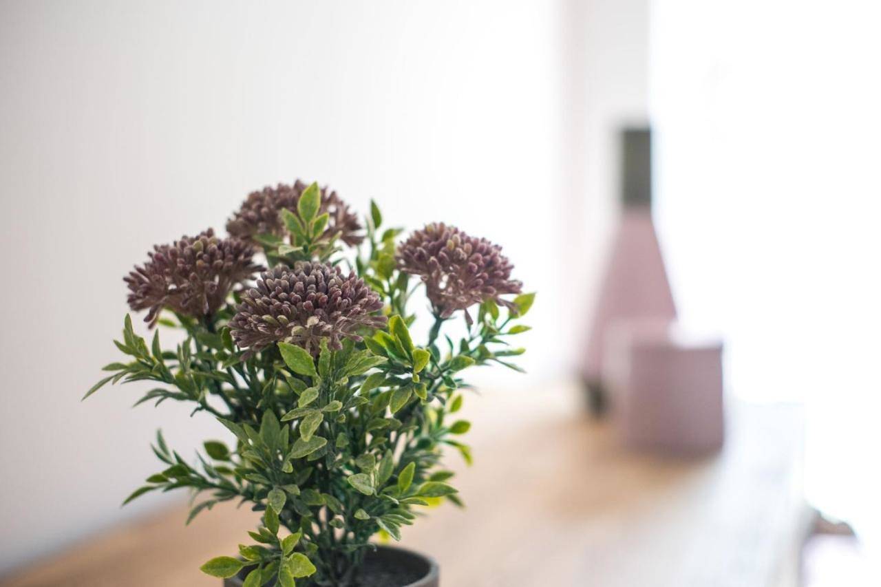 Ganze Wohnung, Alpen-Hostel - Apartment Morgen- und Abendsonne mit Motorradvermietung in Memmingen, Bayerisch Schwaben