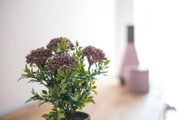 Ferienwohnung für 6 Personen, mit Terrasse und Garten in Memmingen - 4
