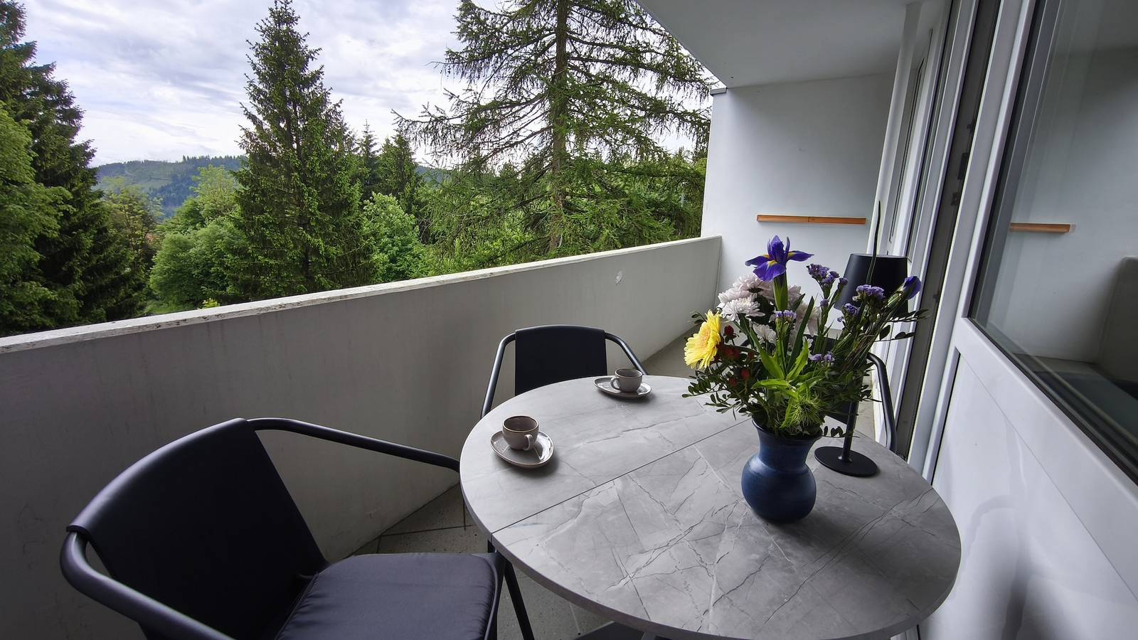 Ganze Ferienwohnung, Hochdrei - Hahnenklee in Hahnenklee, Goslar