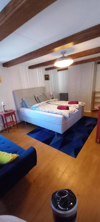Maison d’hôte pour 4 personnes, avec jardin et terrasse, animaux acceptés dans Canton de Neuchâtel - 2